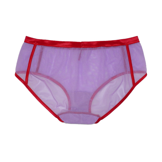 STANDARD PANTY <p>BICOLOR POWER NET <p>/ PURPLE AND RED